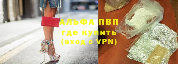 Альфа ПВП Горняк