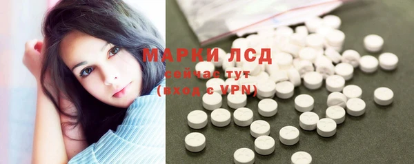 Альфа ПВП Горняк