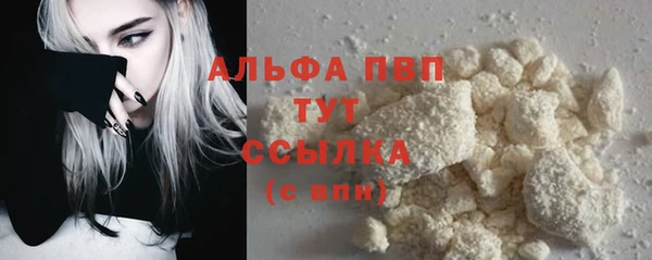 PSILOCYBIN Вязьма
