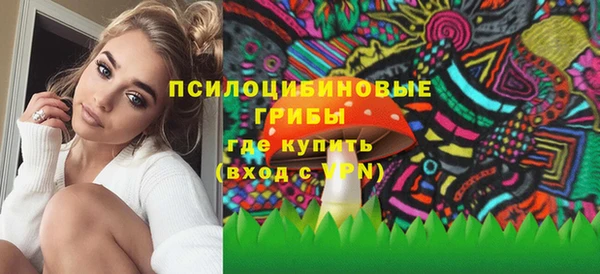 Альфа ПВП Горняк