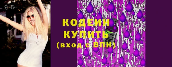 хмурый Горно-Алтайск