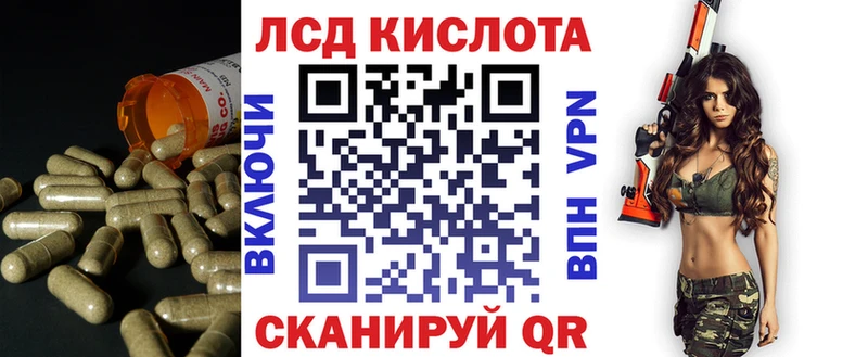 kraken зеркало  Чекалин  Лсд 25 экстази кислота 