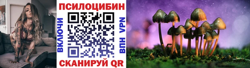 Псилоцибиновые грибы Psilocybine cubensis  Чекалин 